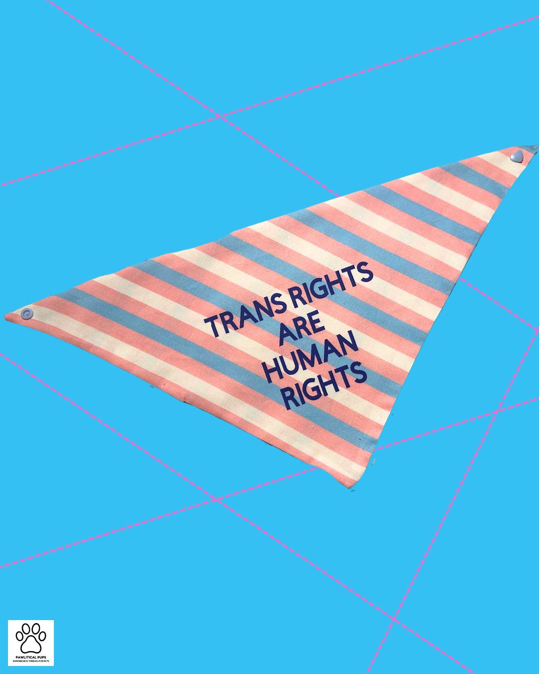Trans Rights are Human Rights